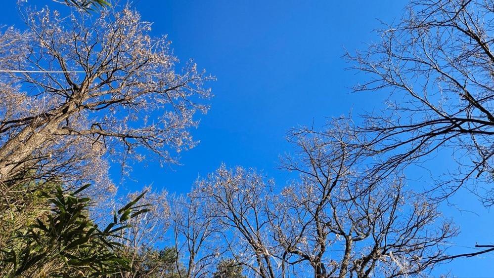 Yangyang Little Forest Pension Εξωτερικό φωτογραφία